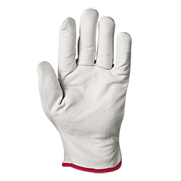 Glove Cipro