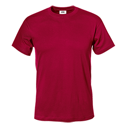 Sirflex T-Shirt