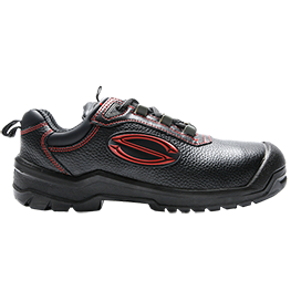 Anaconda Dielectric - Ladies' Version